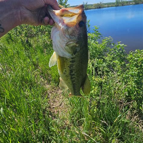ᐅ Havana Lake fishing reports • Bartlesville, KS  .